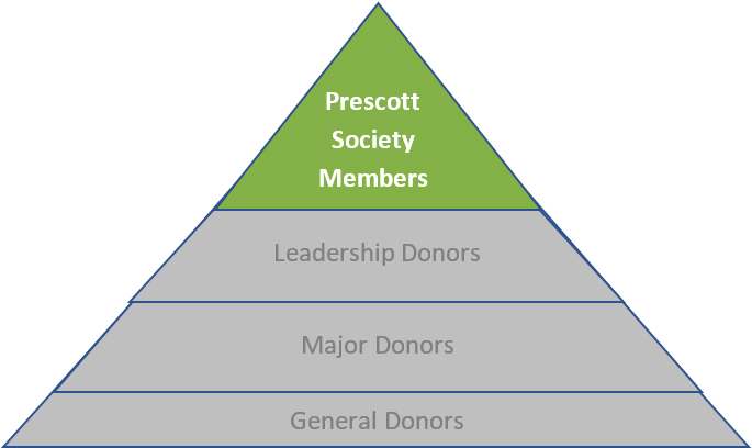 pyramid image of the hierarchy of donors